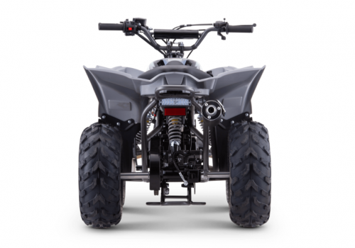 Kinder Quad Apollo Sano Predator 110cc